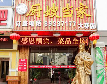 廚嫂當家廚房油煙凈化設